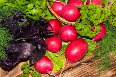 Similar image 6443137