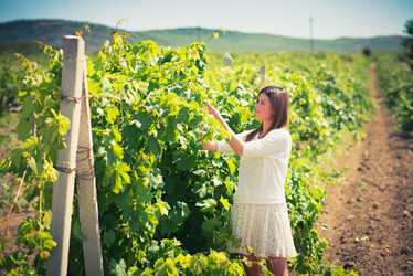 Similar image 6443148