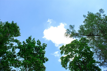 Similar image 6443149