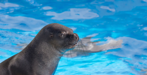 Similar image 6443159