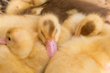 Similar image 6443161