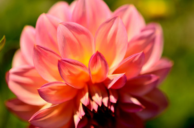 Similar image 6443188