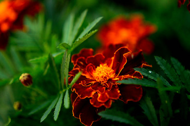 Similar image 6443189