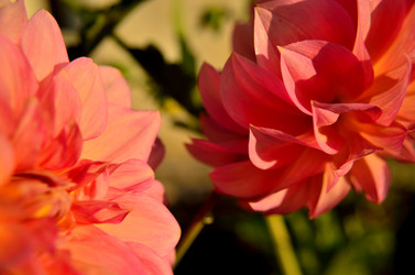 Similar image 6443190