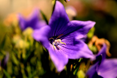 Similar image 6443203