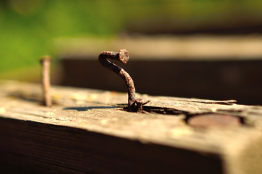 Similar image 6443204