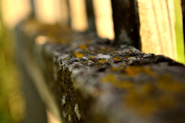 Similar image 6443205