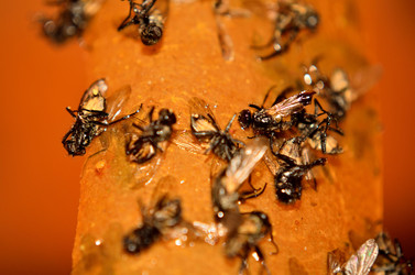 Similar image 6443206