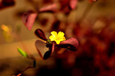 Similar image 6443209