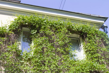 Similar image 6443232