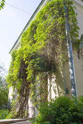 Similar image 6443235