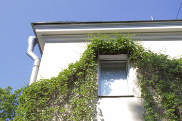 Similar image 6443238