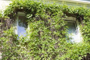 Similar image 6443251