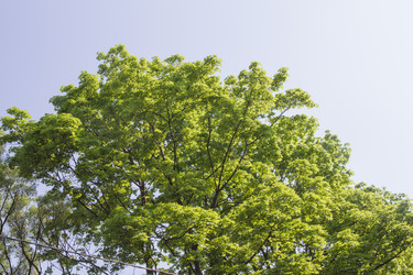 Similar image 6443254