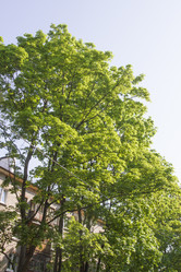 Similar image 6443255