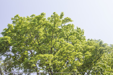 Similar image 6443256