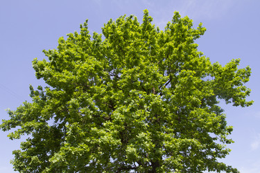 Similar image 6443259