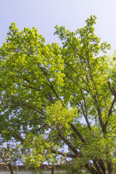 Similar image 6443261