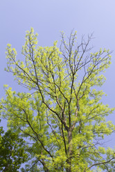 Similar image 6443264