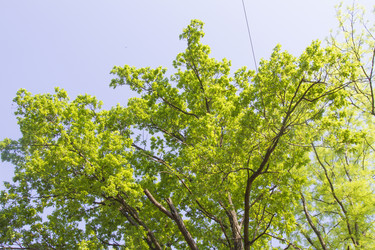 Similar image 6443265