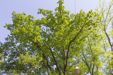 Similar image 6443267