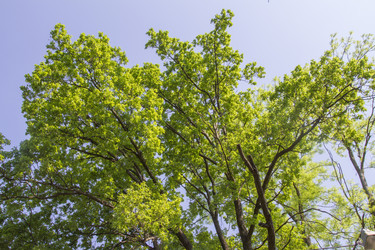 Similar image 6443269