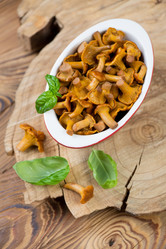 Similar image 6443278