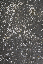 Similar image 6443288