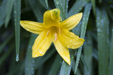 Similar image 6443289