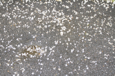 Similar image 6443290