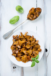 Similar image 6443293