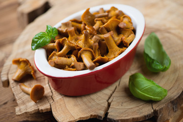 Similar image 6443301