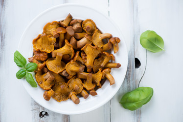 Similar image 6443309