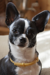 Similar image 6443350