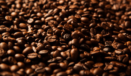 Similar image 6443355