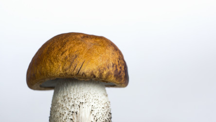 Similar image 6443725