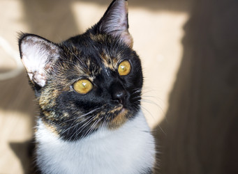 Similar image 6443727