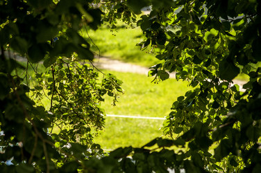 Similar image 6443753