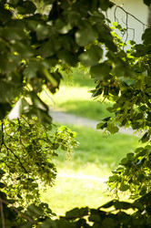 Similar image 6443754