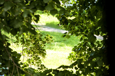 Similar image 6443755