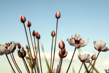 Similar image 6443761