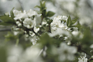 Similar image 6443767