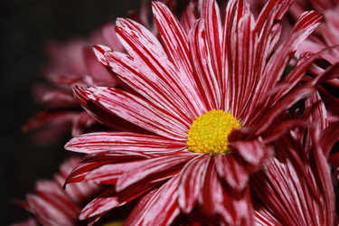 Similar image 6443770