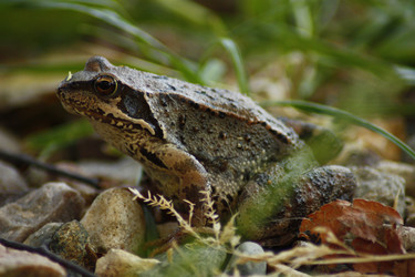 Similar image 6443771