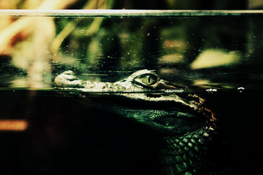 Similar image 6443772