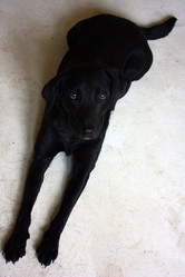 Similar image 6443773