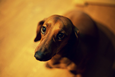 Similar image 6443774