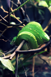 Similar image 6443775