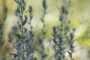 Similar image 6443777