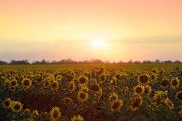 Similar image 6443784